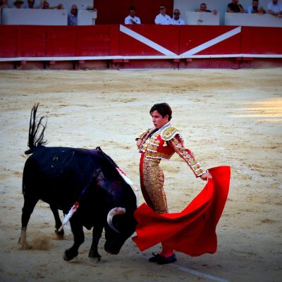 Corrida BZS 15-8-25 1556 Corrida BZS 15-8-25 1556