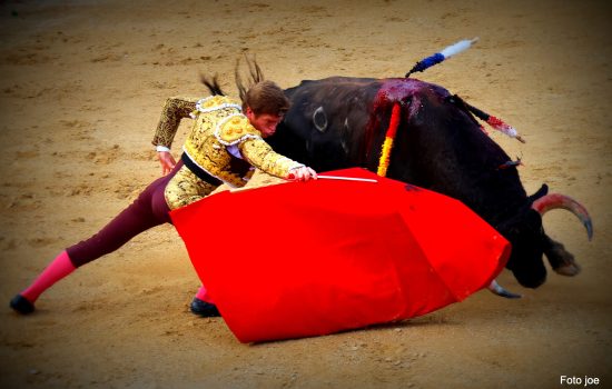 Corrida Bzs 17-8-25 1155 Corrida Bzs 17-8-25 1155